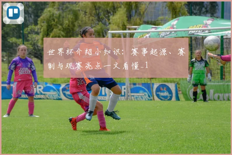 世界杯介绍小知识:赛事起源、赛制与观赛亮点一文看懂_1